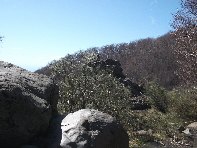 qua Rocca20100328 061